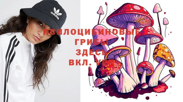 первитин Покачи