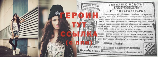 прущие грибы Гатчина