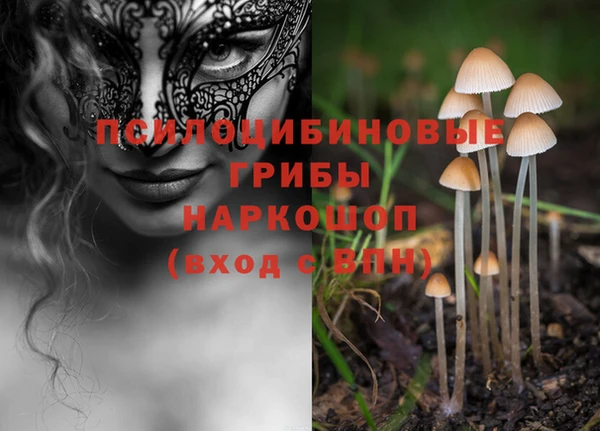 первитин Покачи