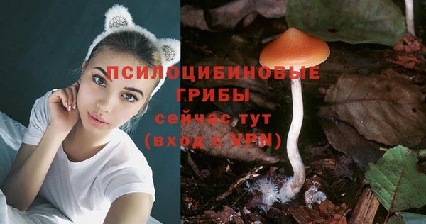 mix Переславль-Залесский