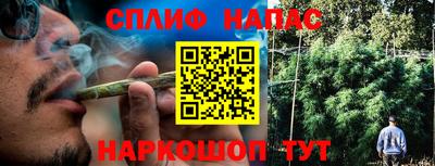 дмт Канаш