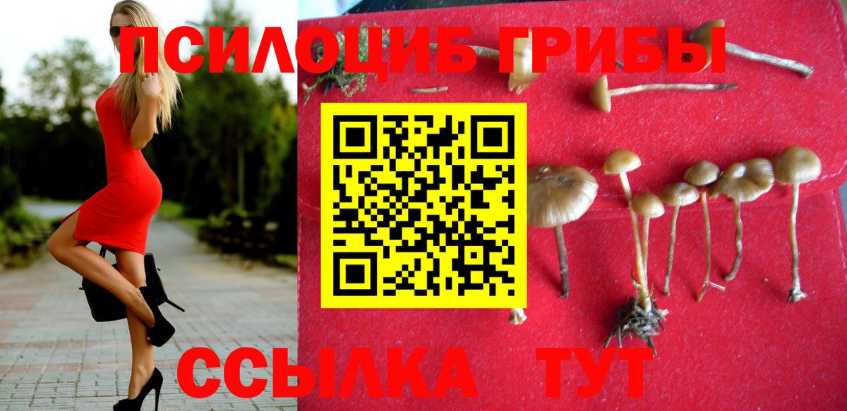 Краснотурьинск  Галлюциногенные грибы мухоморы  Вход с VPN 